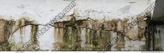 Walls Plaster 0048